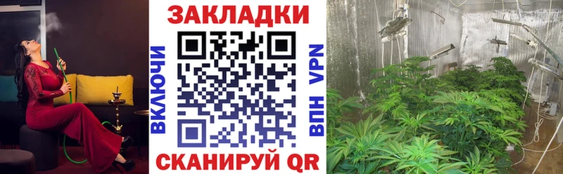 Виды наркоты Любим NBOMe  Псилоцибиновые грибы  Меф мяу мяу  Канабис 