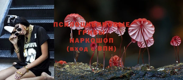 сатива Балабаново